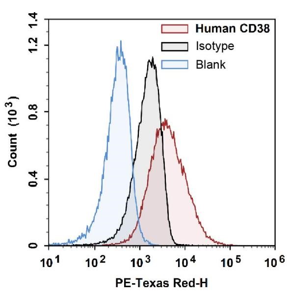 CD38 gating comparison using blank and isotype controls.