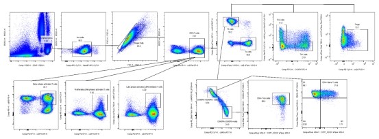 16-color flow cytometry analysis of human peripheral blood T cell subsets.