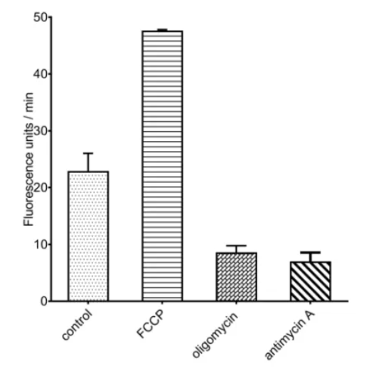 OCR assay (E-BC-F070) measuring oxygen consumption rate in A549 cells.