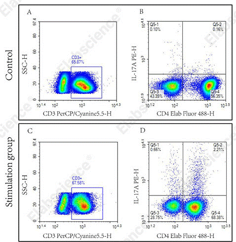Detection of human Th17 cells (CD3⁺CD4⁺IL-17A⁺) in stimulated PBMCs by flow cytometry.