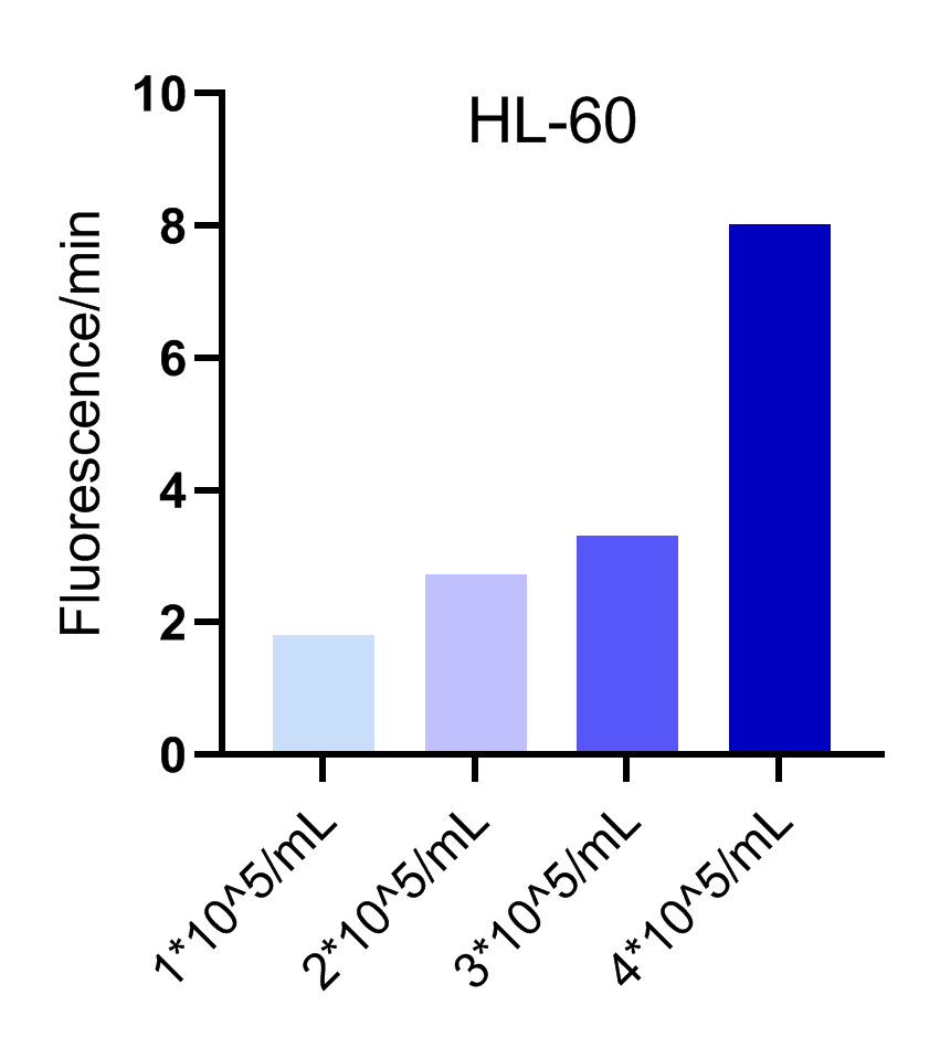 Dose-dependent oxygen consumption rate detection in HL-60 cells.