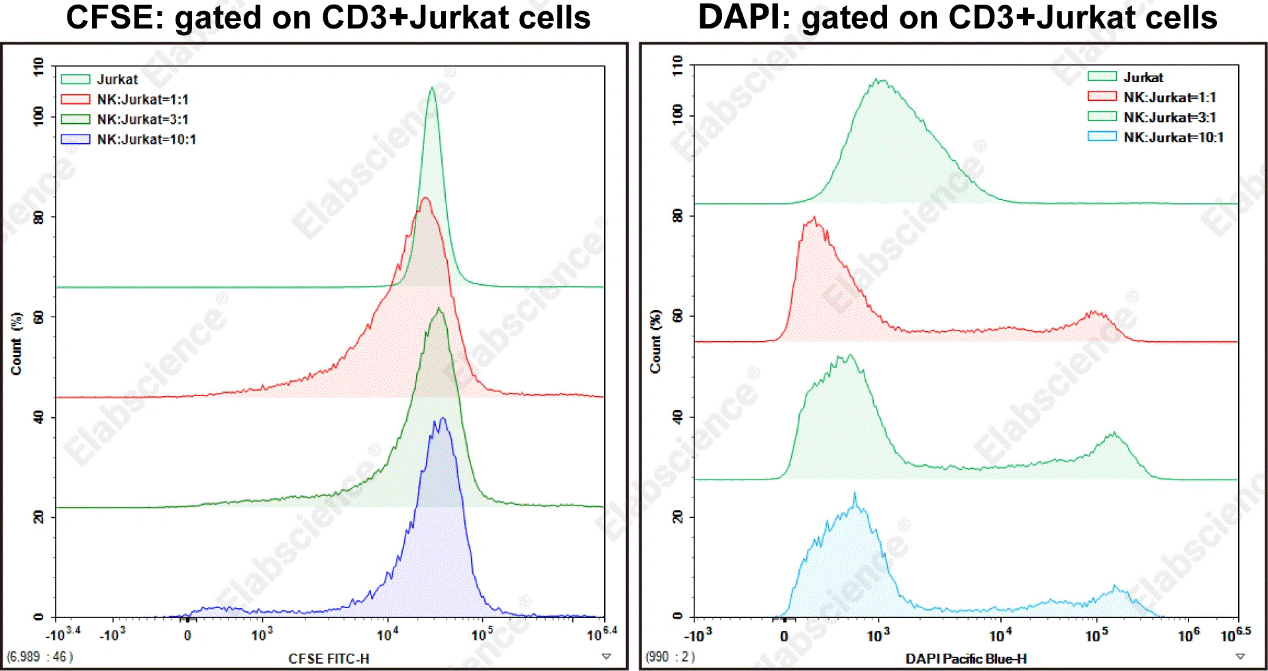 NK cell cytotoxicity assay showing target cell killing activity.