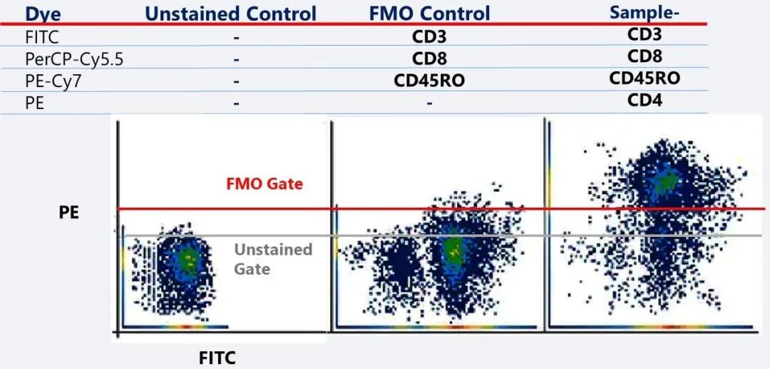 Negative population gating comparison using blank and FMO controls.