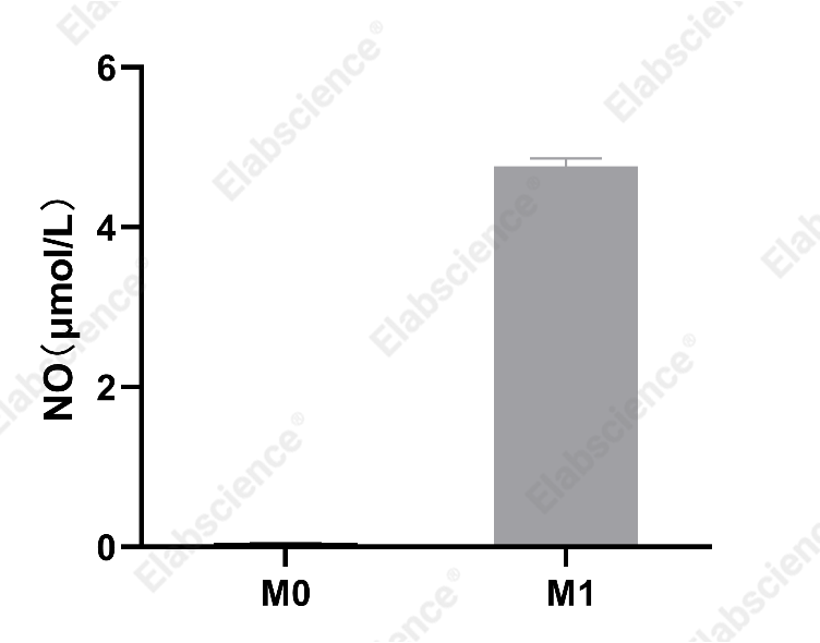 NO levels in Raw264.7 cells (M1 vs M0) measured with E-BC-K817-M kit.