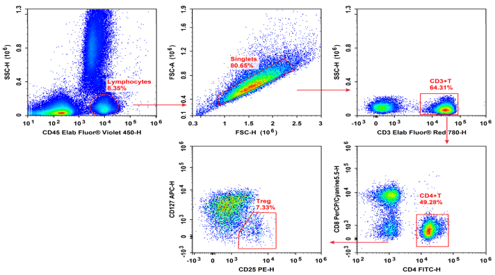 Flow cytometry staining of human T cells to identify Treg cells.
