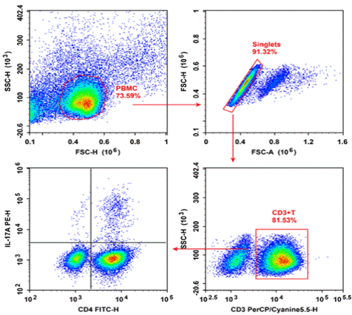 Flow cytometry analysis of Th17 cells and IL-17A production in PBMCs.