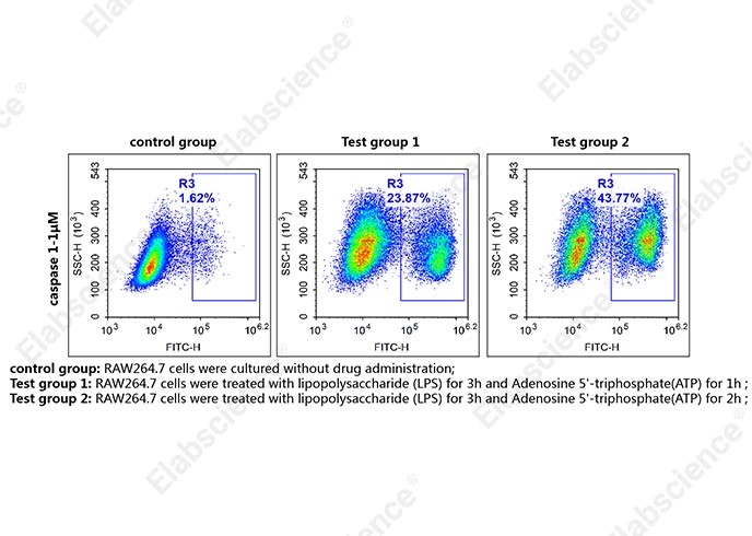 Caspase 1 activity assay by flow cytometry.