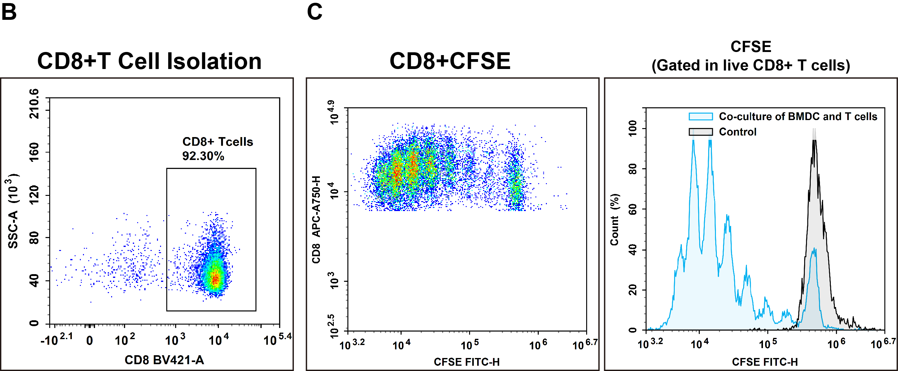 CD8+ T cell sorting, activation, and proliferation with matured dendritic cells.