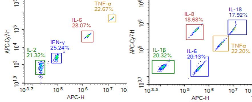 Multiplex cytokine assay for simultaneous detection of multiple cytokines.