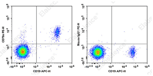 Flow cytometry detection of CD79a in human B cells.