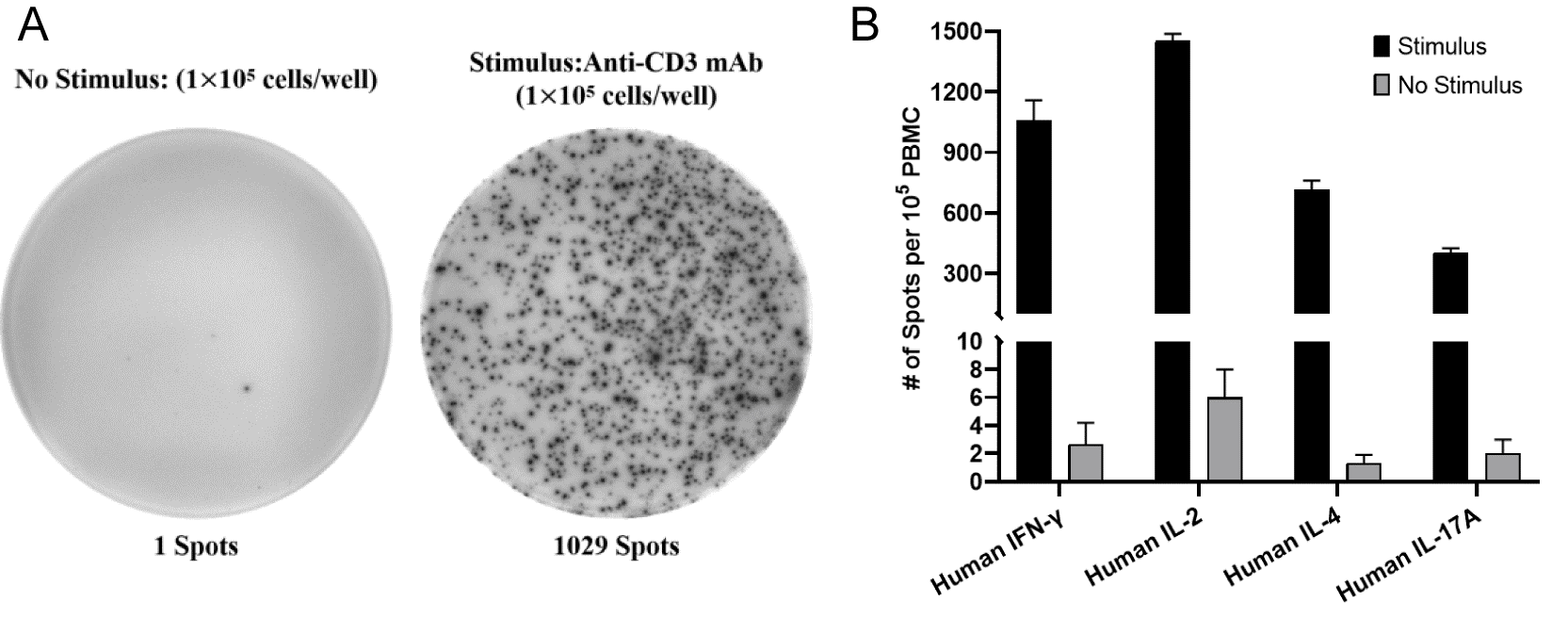 IFN-&gamma;-secreting T cells measured by ELISpot assay.
