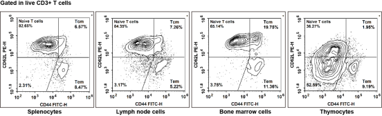 Flow cytometric analysis of T cell subsets in C57BL/6 mouse tissues (CD3, CD4, CD8, CD62L, CD44 markers).