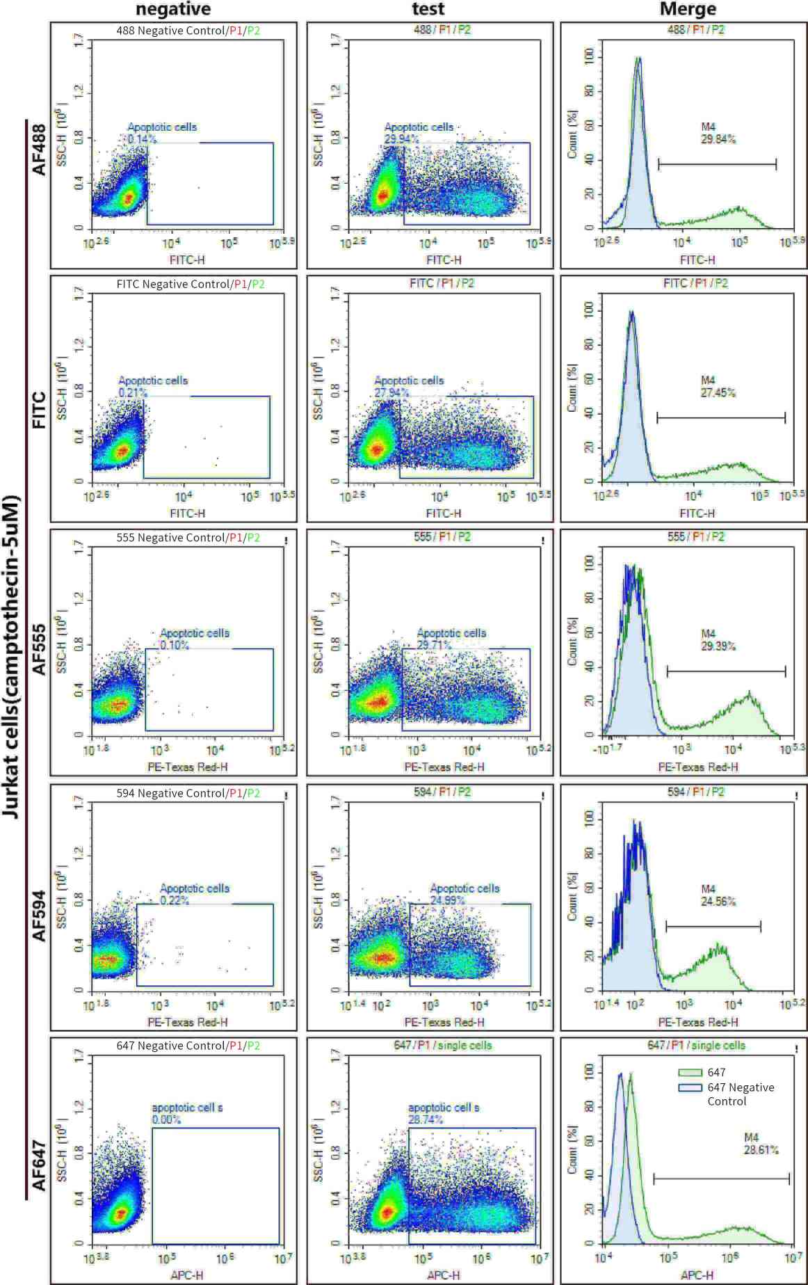 One-Step TUNEL Flow Cytometry Apoptosis Assay for Apoptosis Detection, Fluorescence Selection, and Multiplex Analysis-5