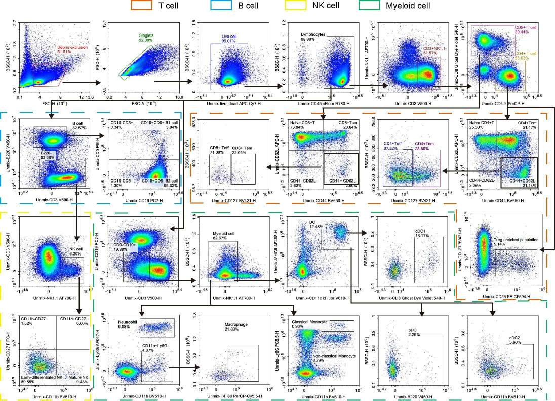 20-color spectral flow cytometry of mouse splenic immune cells using blank and FMO controls.