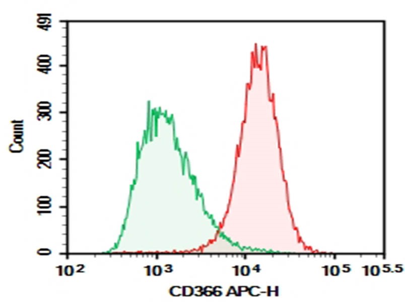 TIM-3 antibody detection in Daudi cells by flow cytometry.
