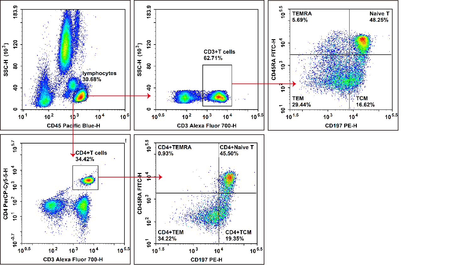 Naive and memory CD4+ T cell analysis