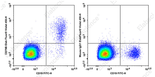 Flow cytometry detection of CD79B in human B cells.