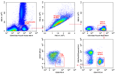 Treg cell analysis in human PBMCs by flow cytometry.