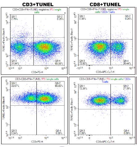Flow cytometry analysis of TUNEL staining in human peripheral blood T cells
.