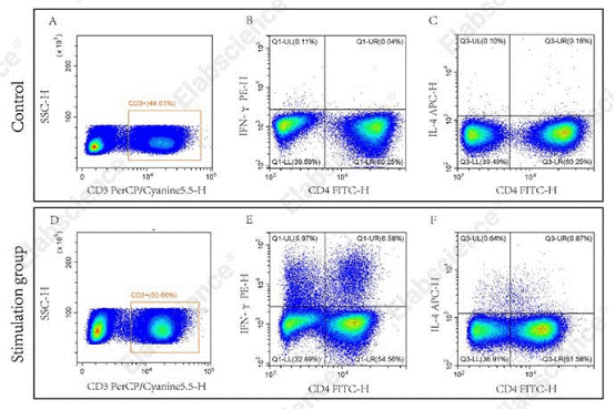 Th1/Th2 cell profiling by flow cytometry with IFN-&gamma; and IL-4 markers.