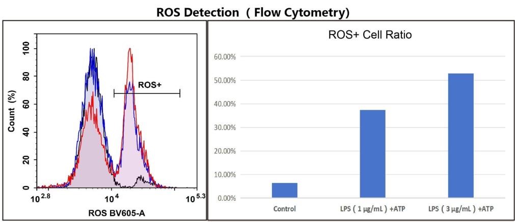 ROS detection in RAW264.7 cells during pyroptosis by flow cytometry.