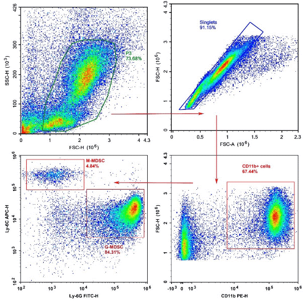 Flow cytometric detection of myeloid-derived suppressor cells.