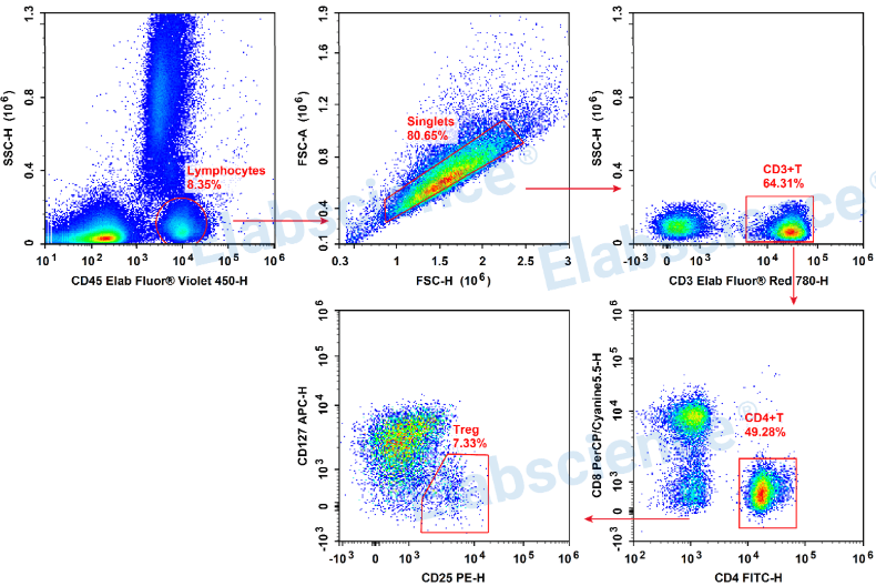 Regulatory T cell analysis.