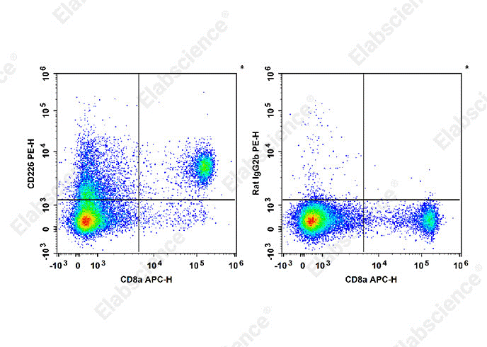  CD226 expression analysis in C57BL/6 mouse splenocytes.