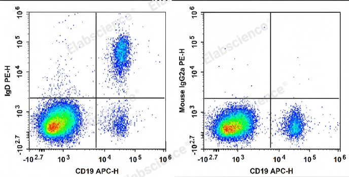 Memory B cell analysis in human peripheral blood lymphocytes.