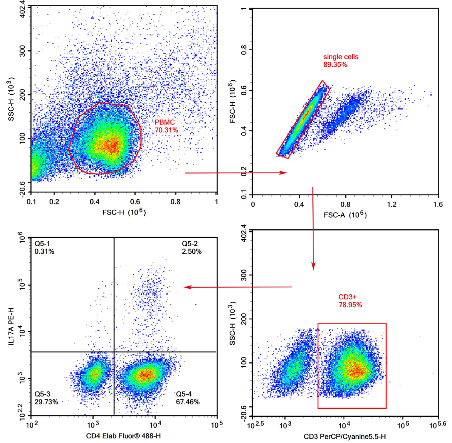 Th17 cell subset analysis.