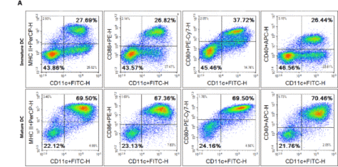 Flow cytometry analysis of BMDC maturation markers.