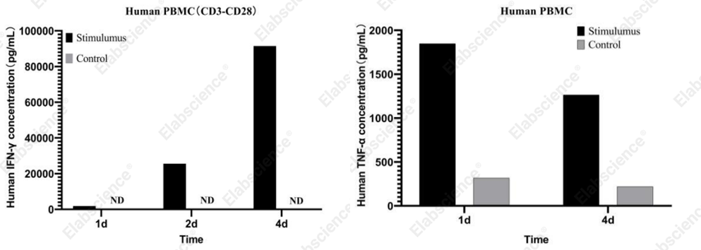 IFN-&gamma; and TNF-&alpha; in stimulated human PBMC supernatant.