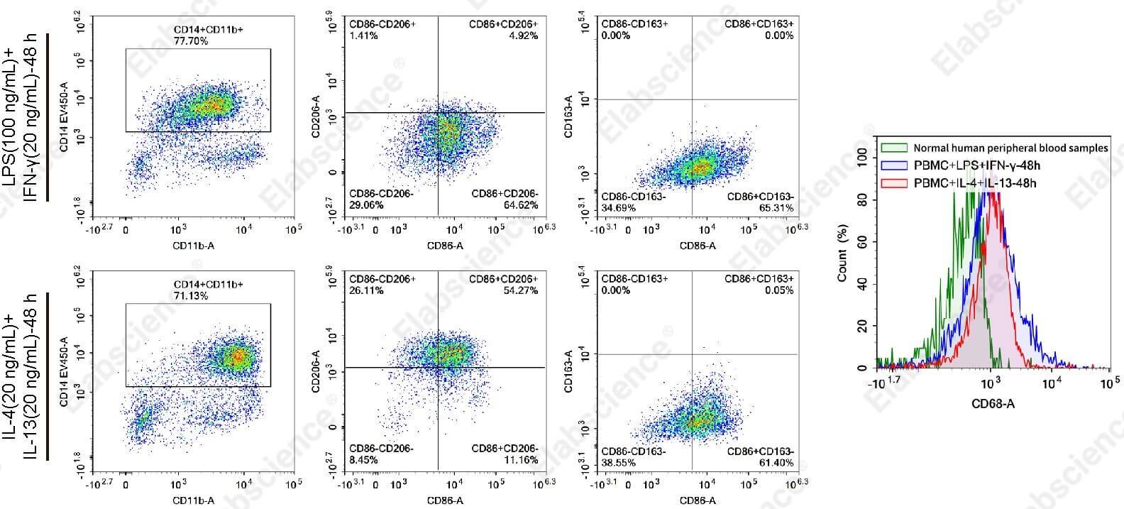 Flow cytometry of polarized human PBMC-derived macrophages.