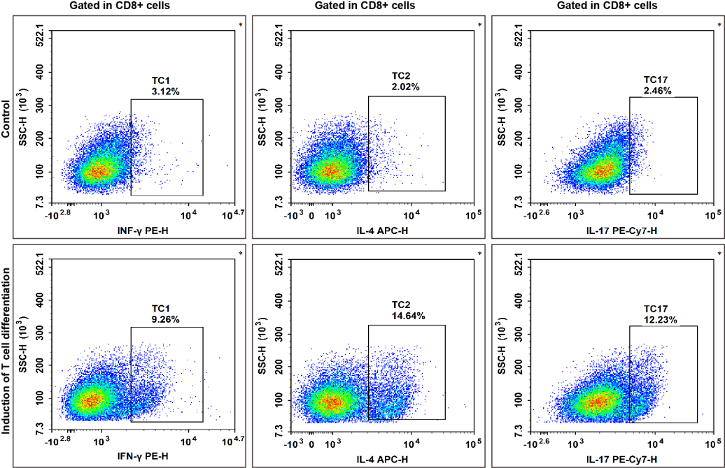 Differentiation of mouse CD8+ T cells into Tc subsets