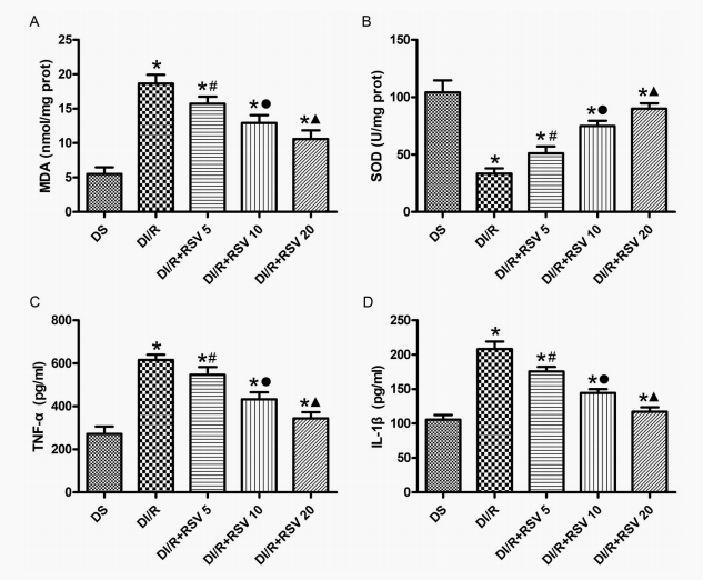 Oxidative Stress and Diabetic Complications with Validated Models, Assay Workflows, and Elabscience® Application Cases-1