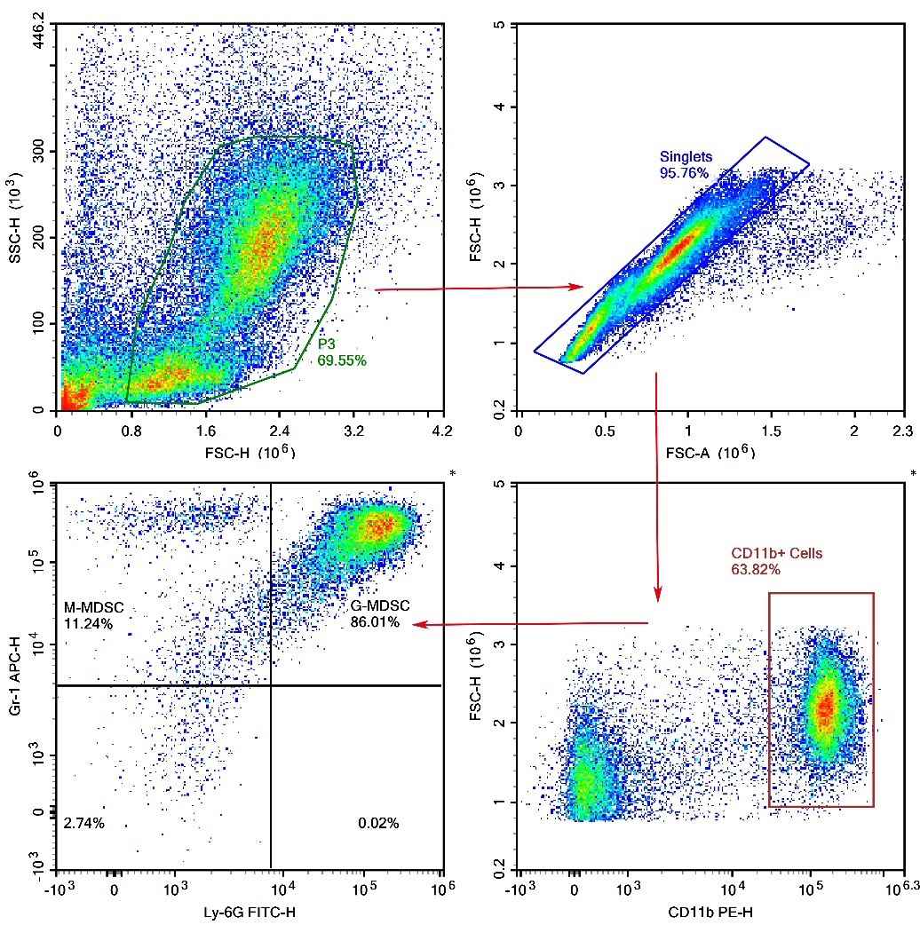 Detection of MDSC (3-Color) in Mouse Bone Marrow (Panel 1)-1