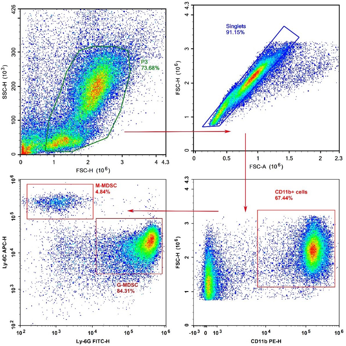 Detection of MDSC (3-Color) in Mouse Bone Marrow (Panel 2)-1