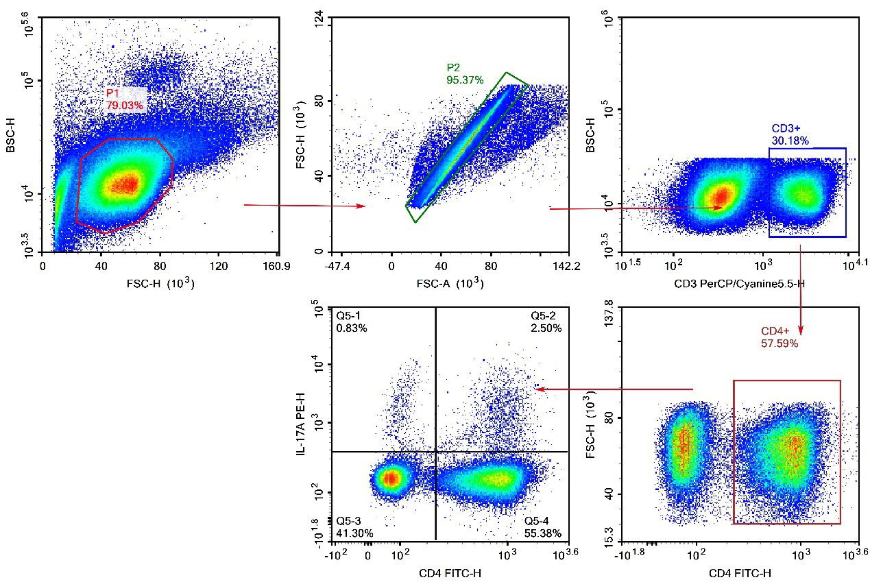 Detection of Th17 (3-color) in Mouse Spleen-1