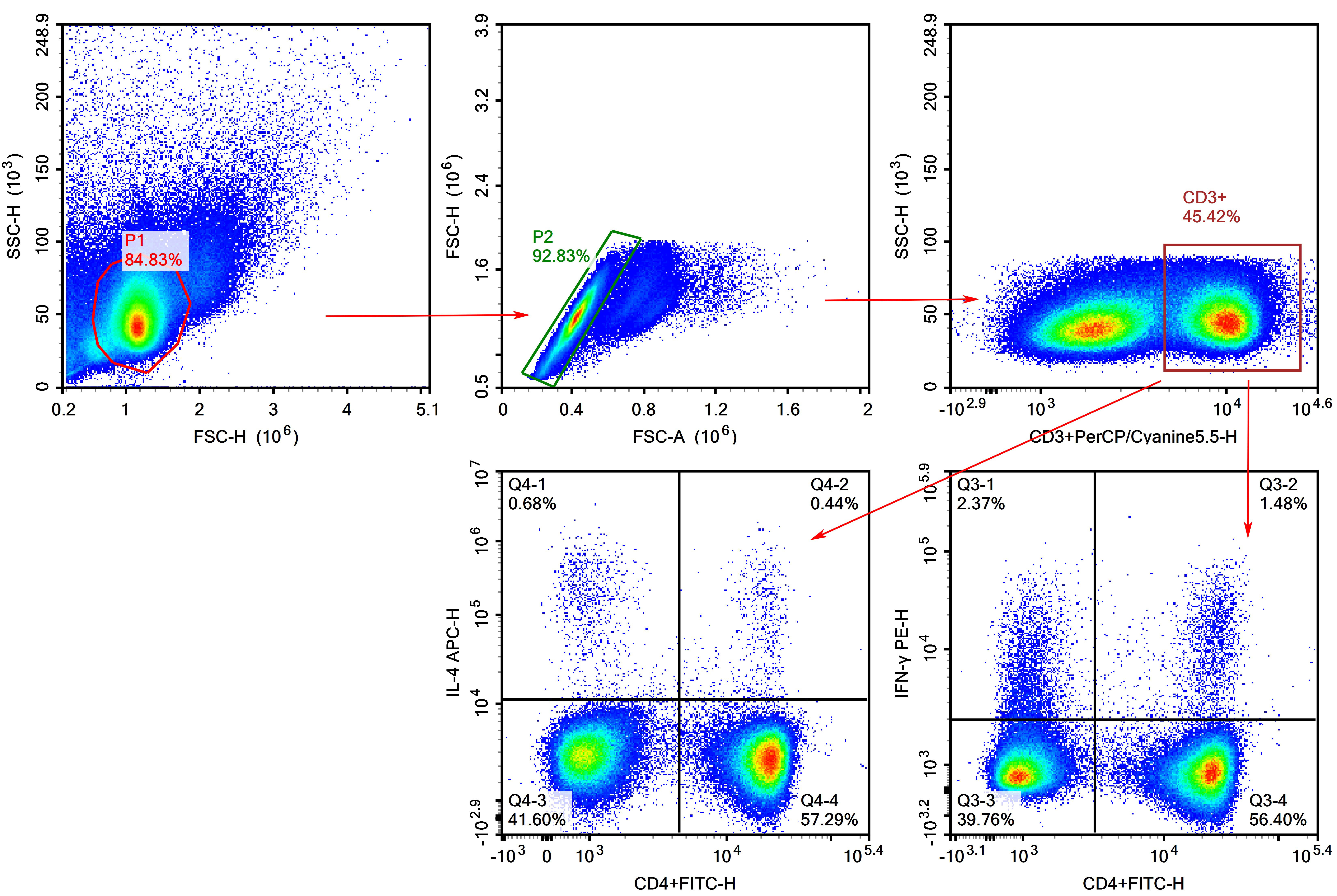 Detection of Th1/Th2 (4-color) in Mouse Spleen-1