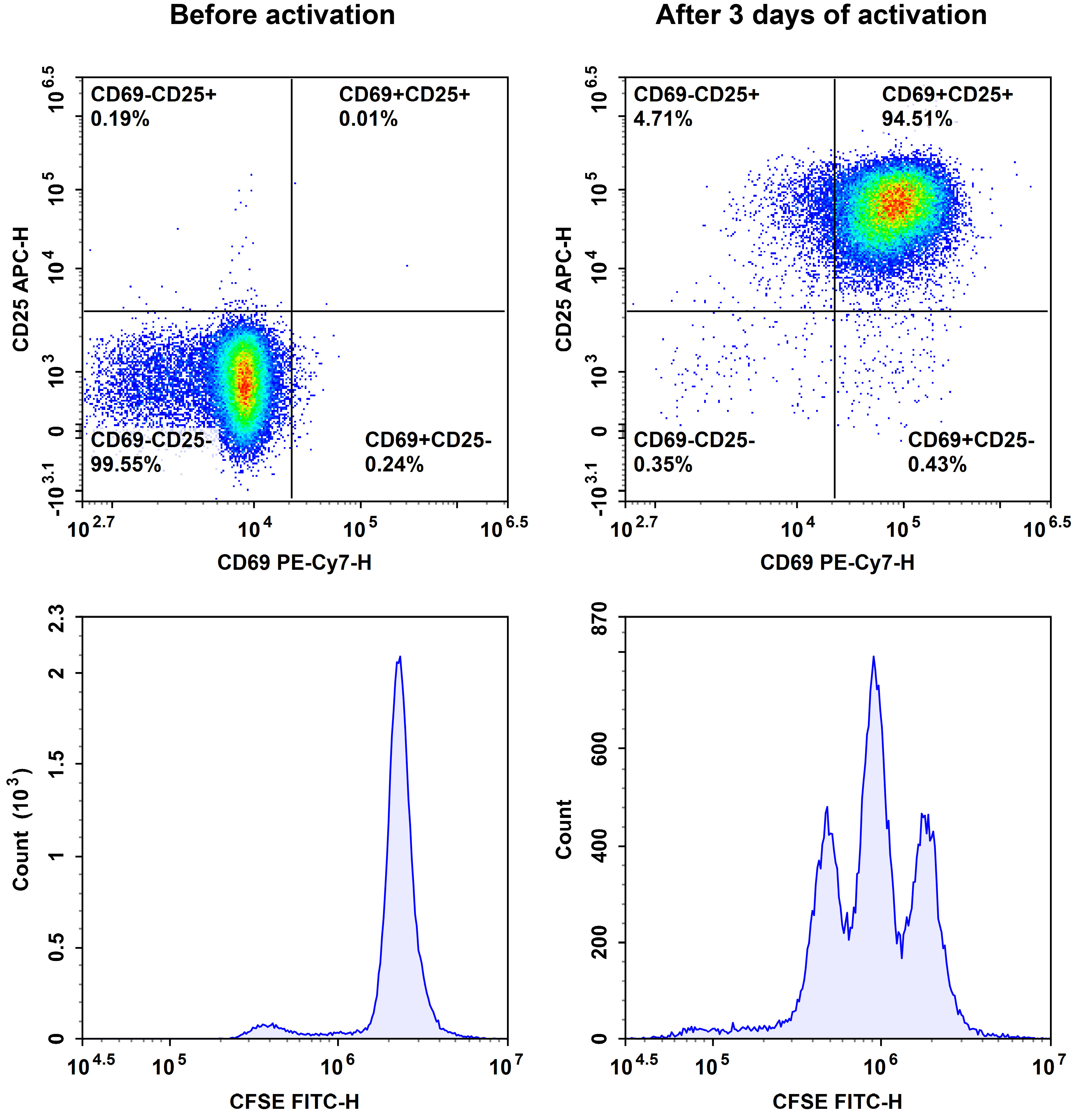 Proliferation of purified na&iuml;ve CD8+ T cells after CD3/CD28 activation, measured by CFSE, CD69, and CD25.