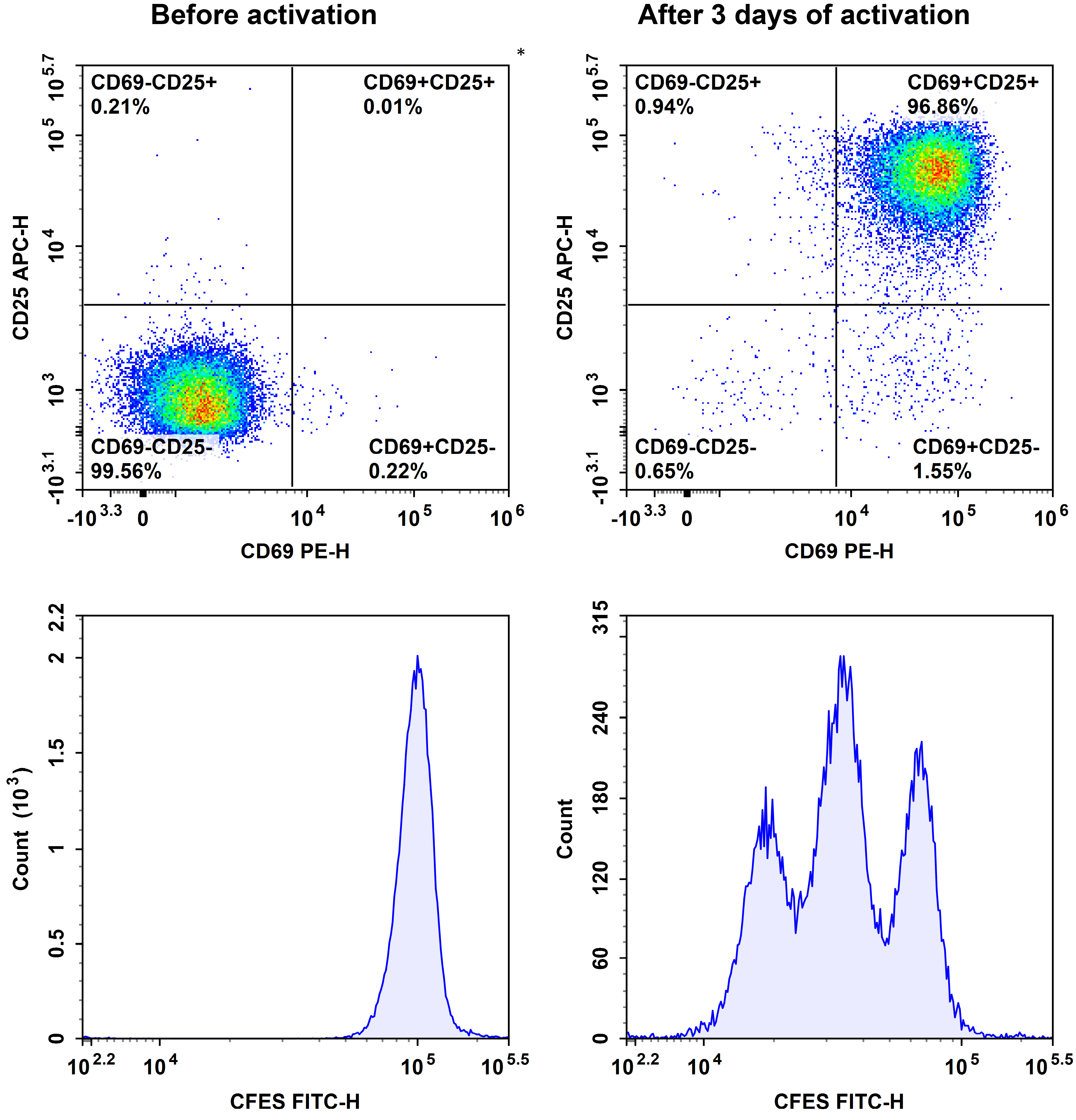Proliferation of purified na&iuml;ve pan T cells after CD3/CD28 activation, measured by CFSE, CD69, and CD25.