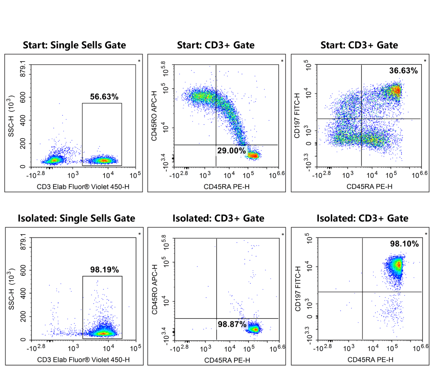 Purity of human na&iuml;ve pan T cells before and after sorting.