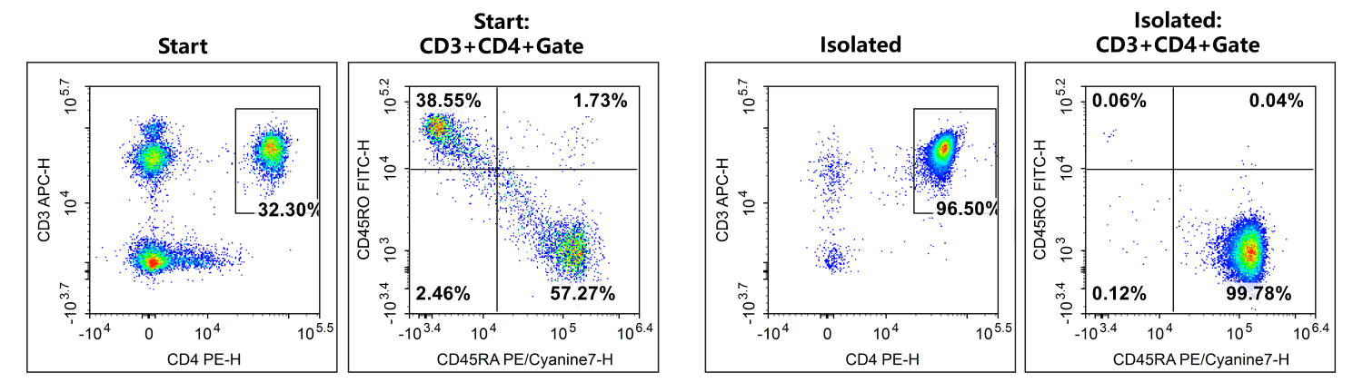 Purity of human na&iuml;ve CD4+ T cells before and after sorting.