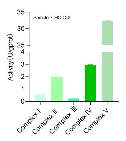 Mitochondrial respiratory complexes detection in CHO cells.