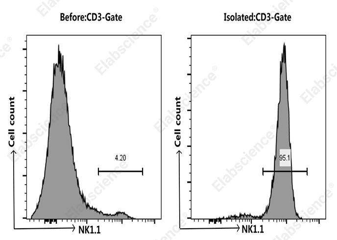 Flow cytometry showing NK cell sorting from mouse spleen, CD3-NK1.1+ cells increased from 4.2% to 95.1%.