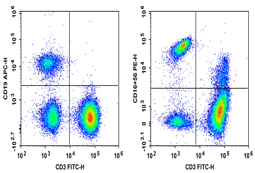 Flow cytometry of human blood showing NK cells (CD19- CD3- NK1.1+) and NKT cells (CD19- CD3+ NK1.1+).