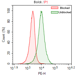 Effect of Fc receptor blocking on antibody staining in THP-1 cells.