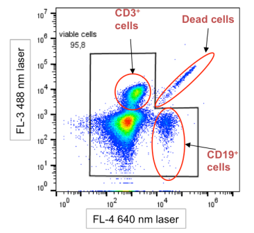 Dead cell interference patterns in flow cytometry fluorescence plots.