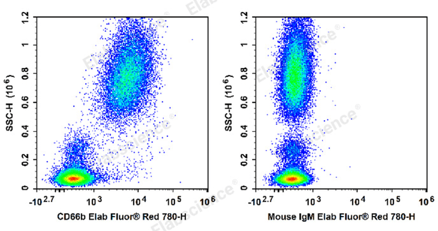 Flow cytometry analysis of human peripheral blood leukocytes stained with anti-human CD66b antibody for neutrophil identification.
