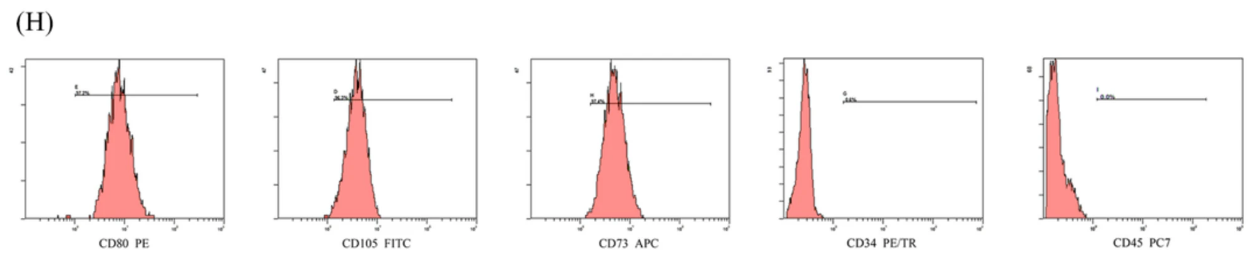 Alt Flow cytometry of human ADSCs co-cultured with SH-SY5Y cells labeled with CD73, CD90, CD105, CD34, and CD45.